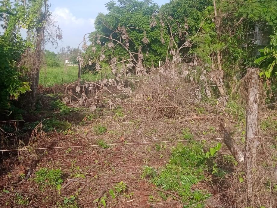 Imagen de terreno en venta en parrilla, centro, tabasco