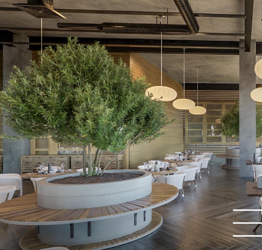 Imagen de local en venta en montes de ame, mérida, yucatán