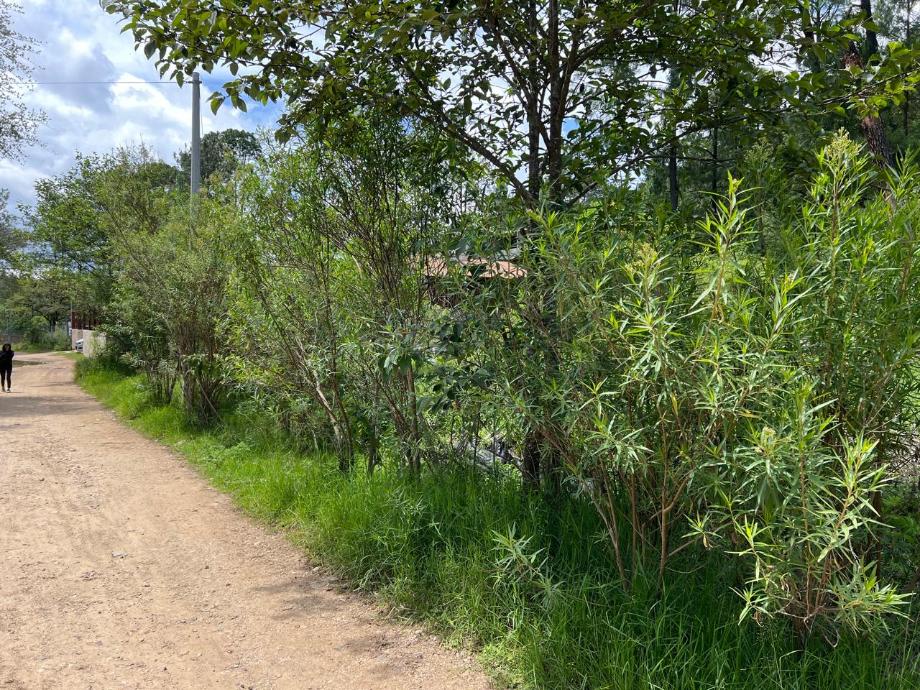 Imagen de terreno en venta en corral de piedra, san cristóbal de las casas, chiapas