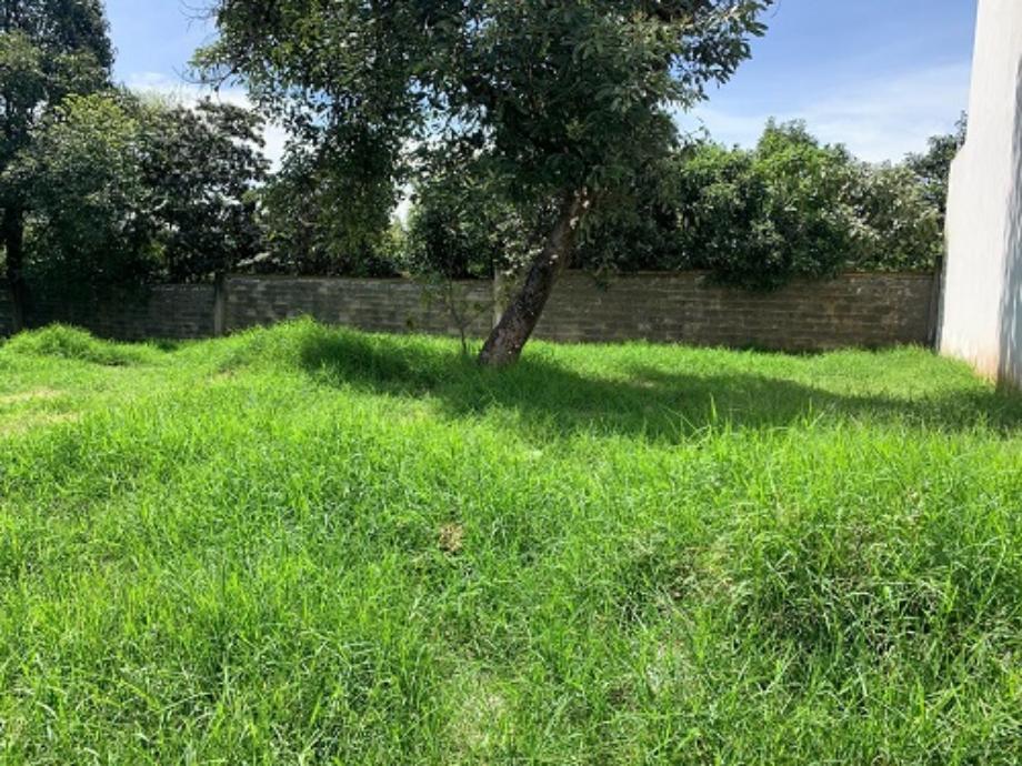 Imagen de terreno en venta en campestre zumpimito, uruapan, michoacán