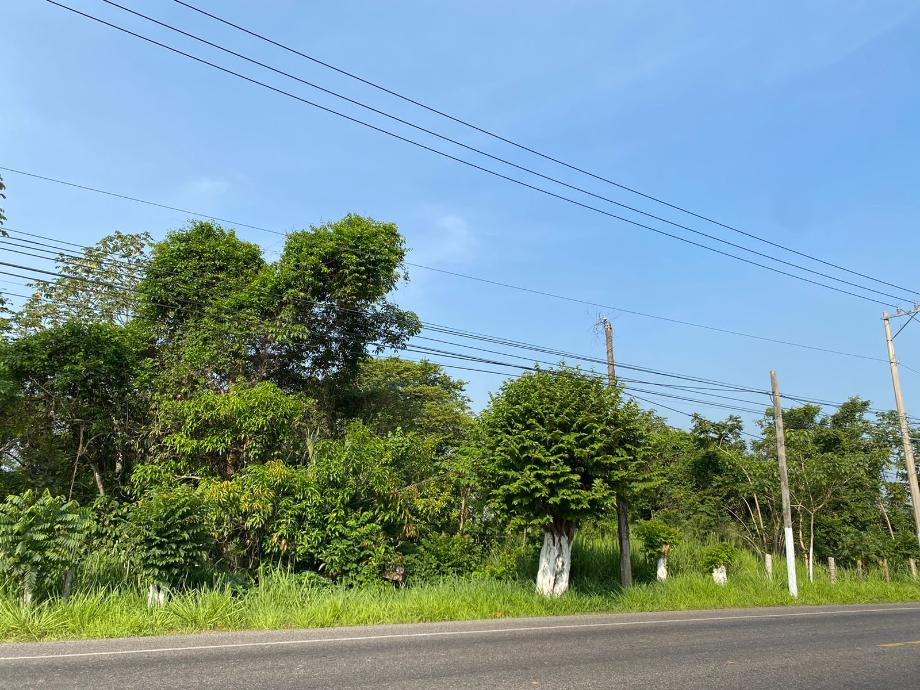 Imagen de terreno en venta en saloya 1ra. sección, nacajuca, tabasco