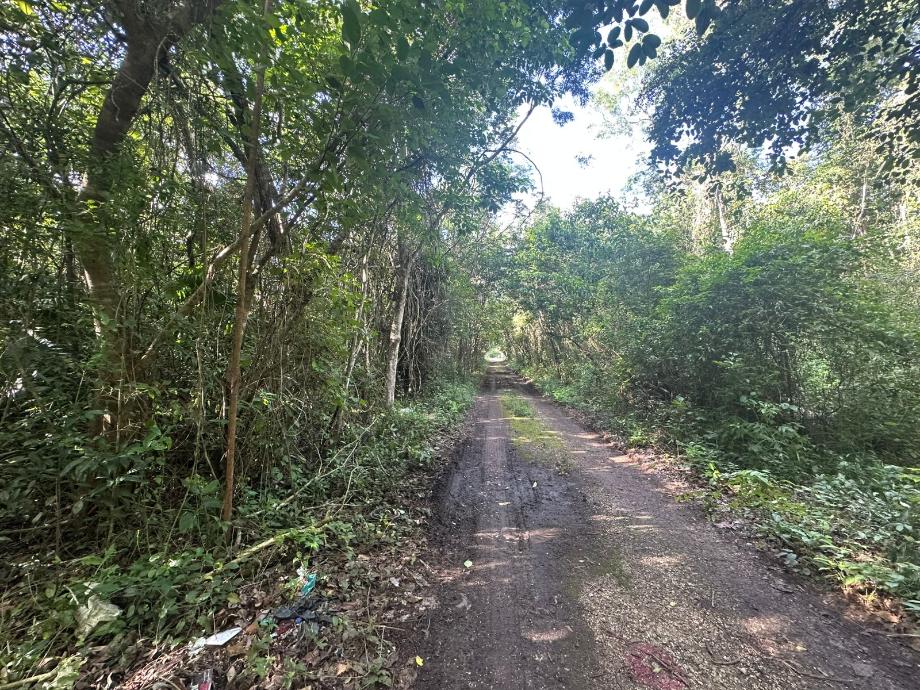 Imagen de terreno en venta en campestre, benito juárez, quintana roo