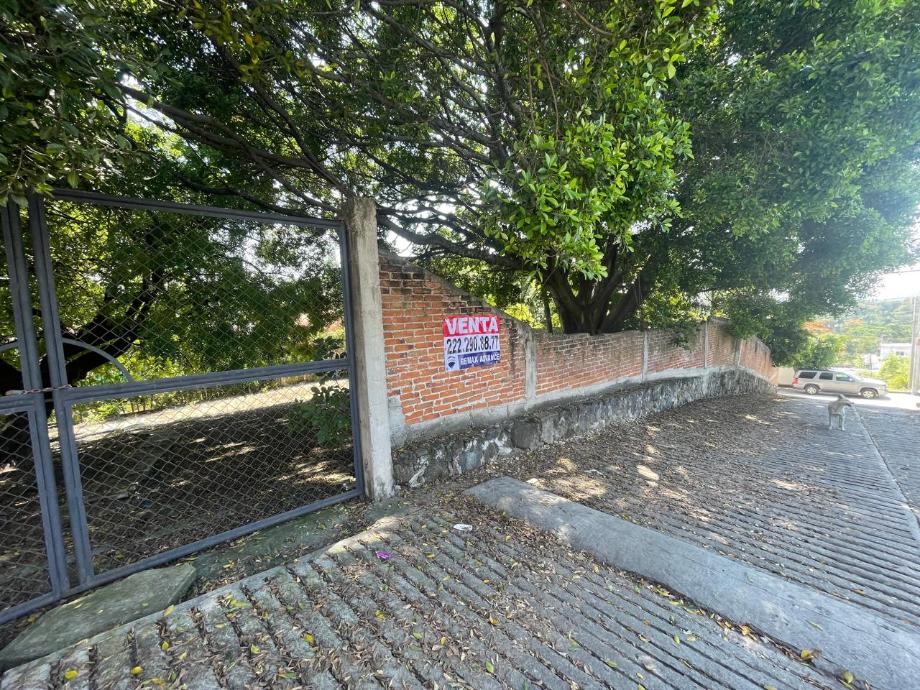 Imagen de terreno en venta en alejandra, yautepec, morelos