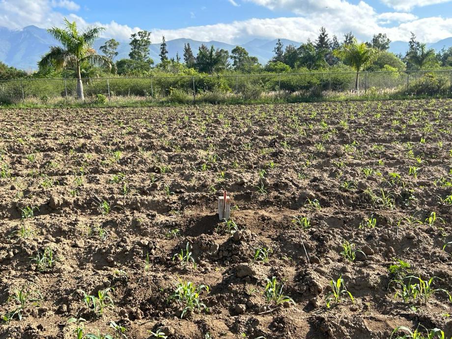Imagen de terreno en venta en la trinidad, tlalixtac de cabrera, oaxaca