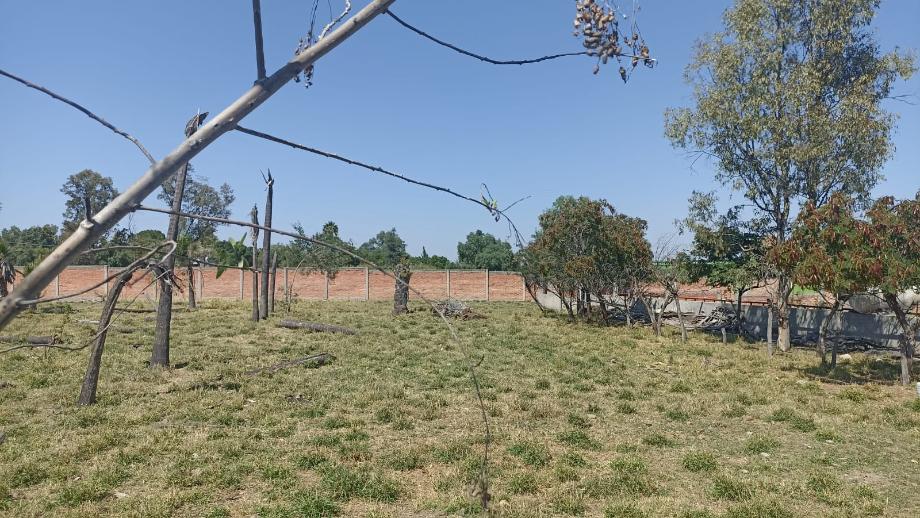 Imagen de terreno en renta en corral de barrancos, jesús maría, aguascalientes