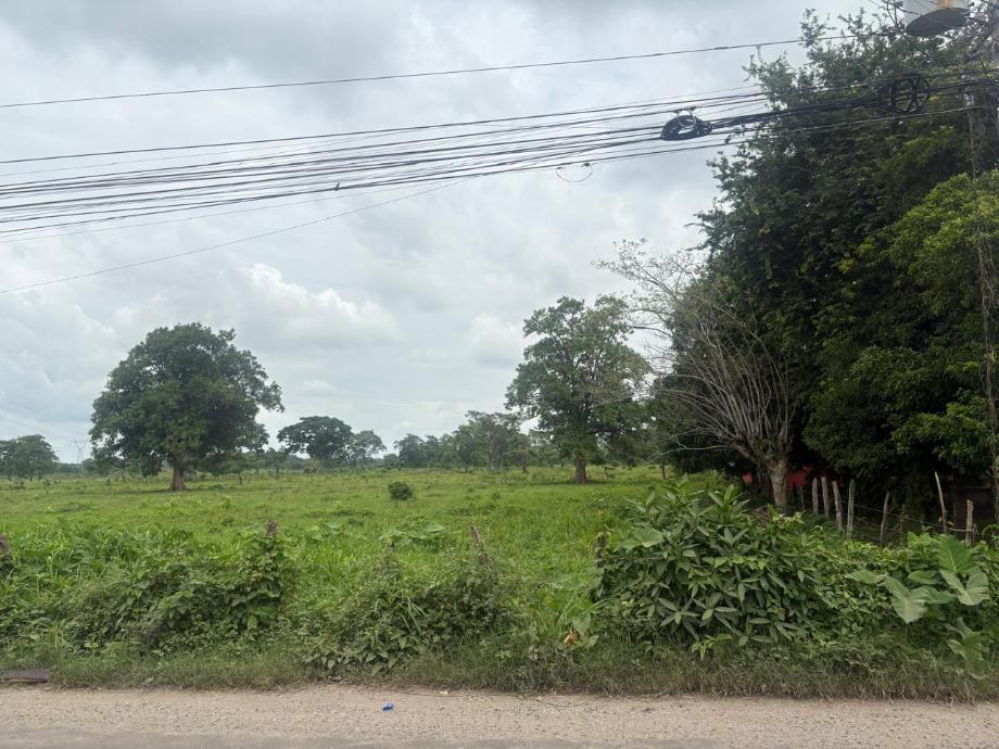 Imagen de terreno en renta en anacleto canabal 3ra. sección, centro, tabasco