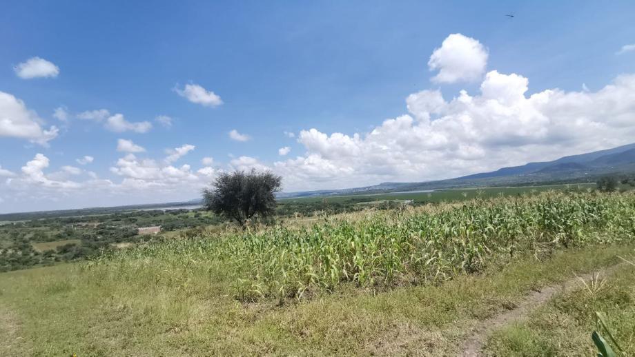 Imagen de terreno en venta en presa allende, san miguel de allende, guanajuato