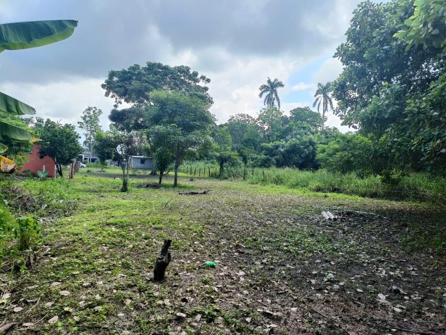 Imagen de terreno en venta en rio viejo 2a sección, centro, tabasco
