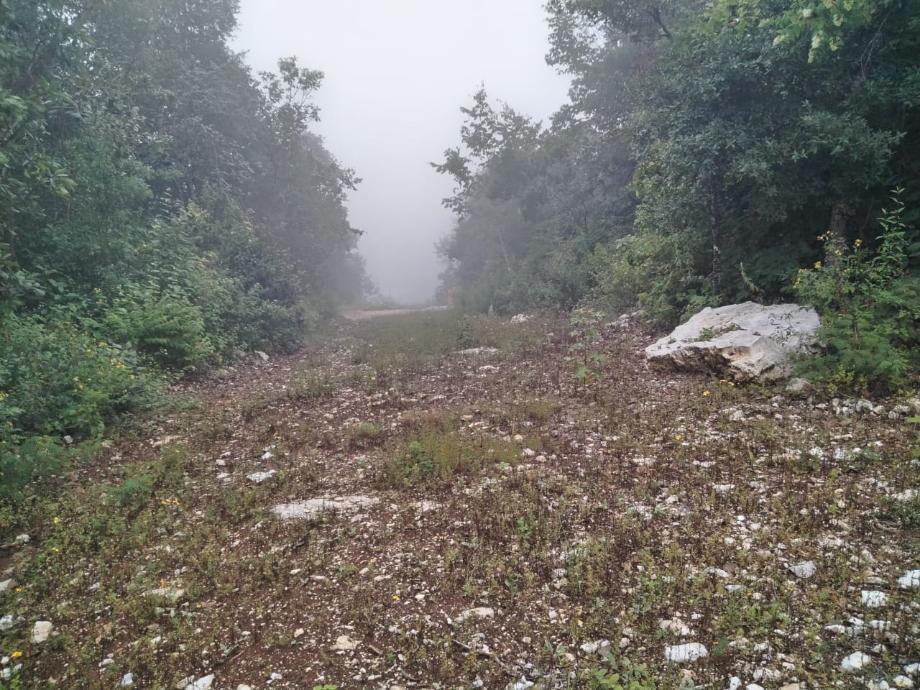 Imagen de terreno en venta en maría auxiliadora, san cristóbal de las casas, chiapas