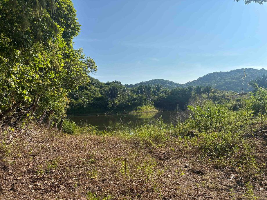 Imagen de terreno en venta en lo de marcos, bahía de banderas, nayarit