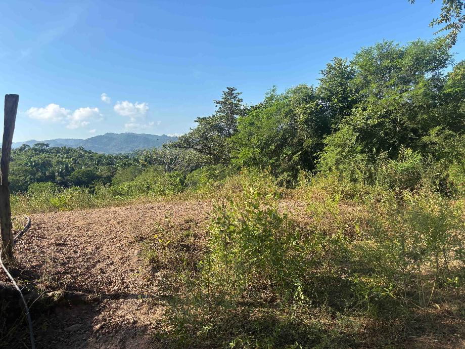 Imagen de terreno en venta en la peñita de jaltemba centro, compostela, nayarit