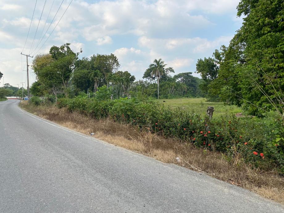 Imagen de terreno en venta en buena vista río nuevo 2a sección, centro, tabasco