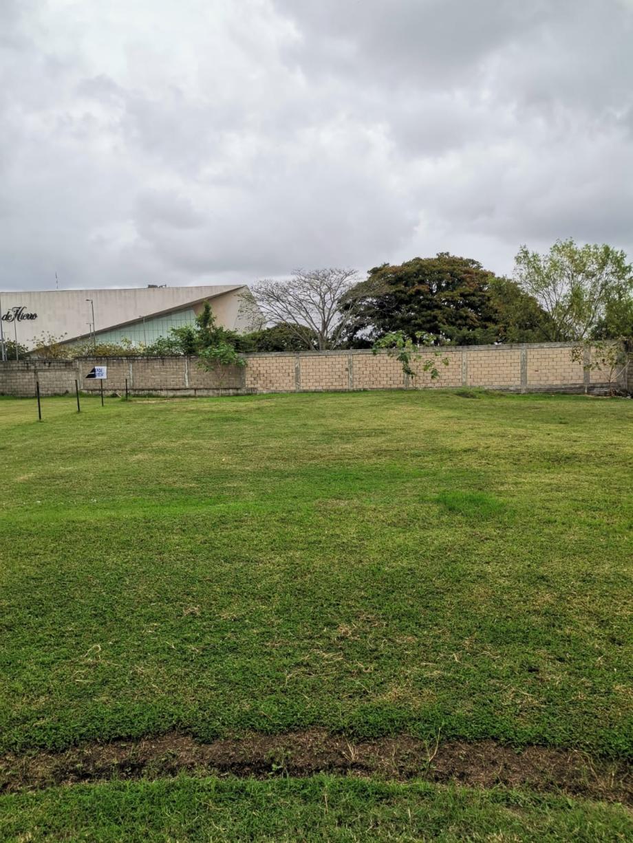 Imagen de terreno en venta en plutarco elias calles cura hueso, centro, tabasco