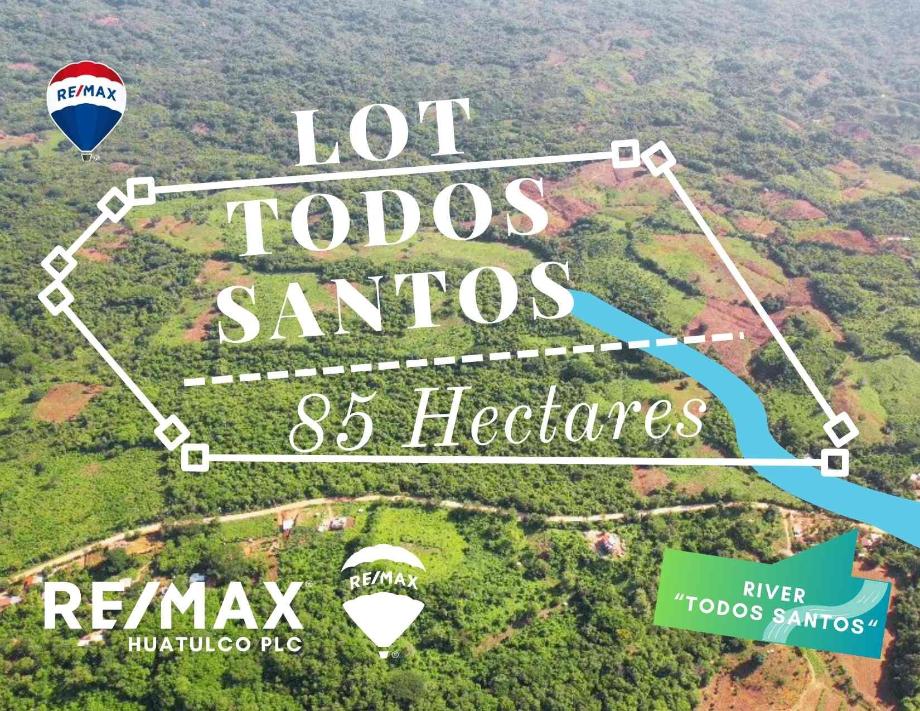 Imagen de terreno en venta en arroyo suchil, santa maría huatulco, oaxaca
