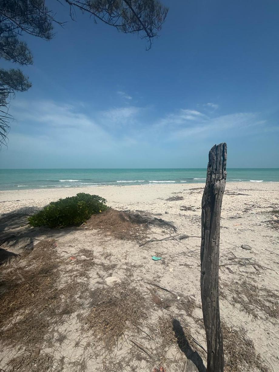 Imagen de terreno en venta en puerto real, carmen, campeche