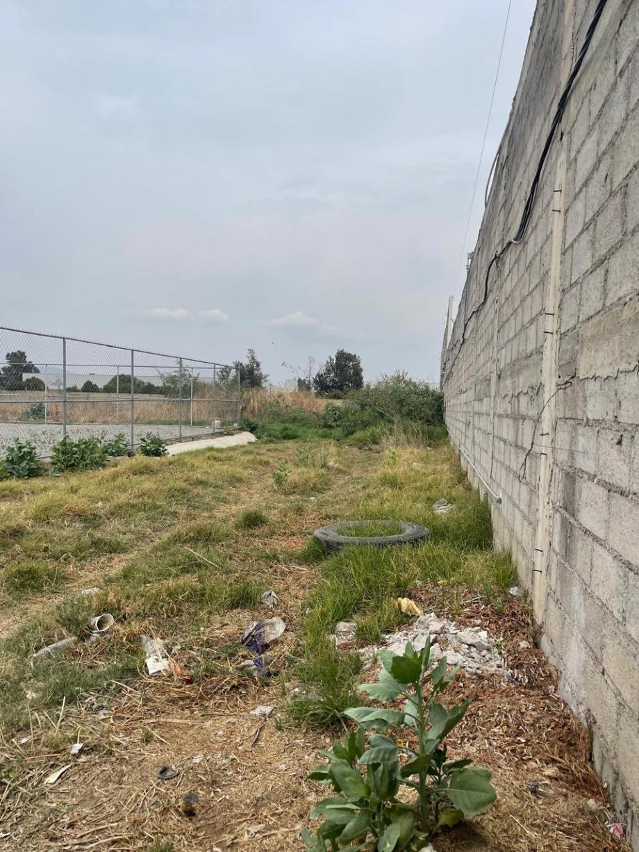 Imagen de terreno en renta en la conchita, chalco, estado de méxico