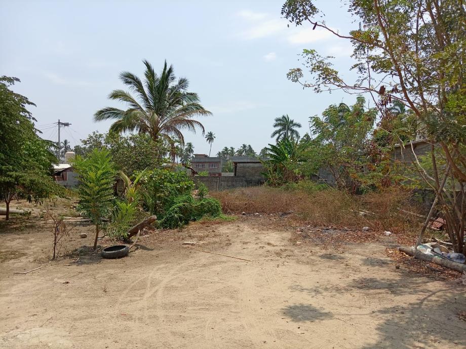 Imagen de terreno en renta en cayaco, acapulco de juárez, guerrero