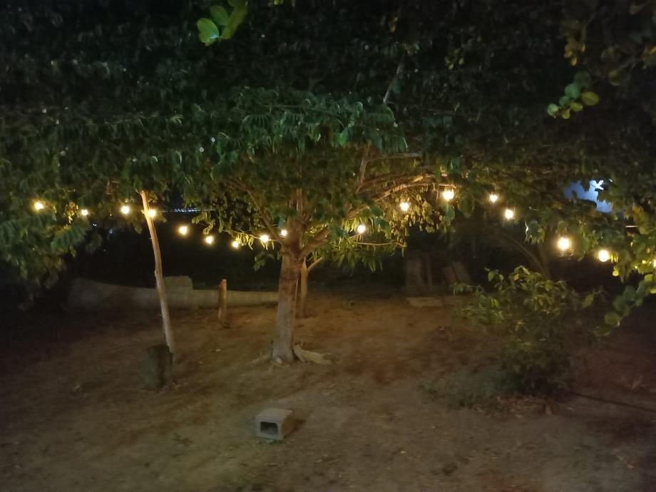 Imagen de terreno en renta en cayaco, acapulco de juárez, guerrero