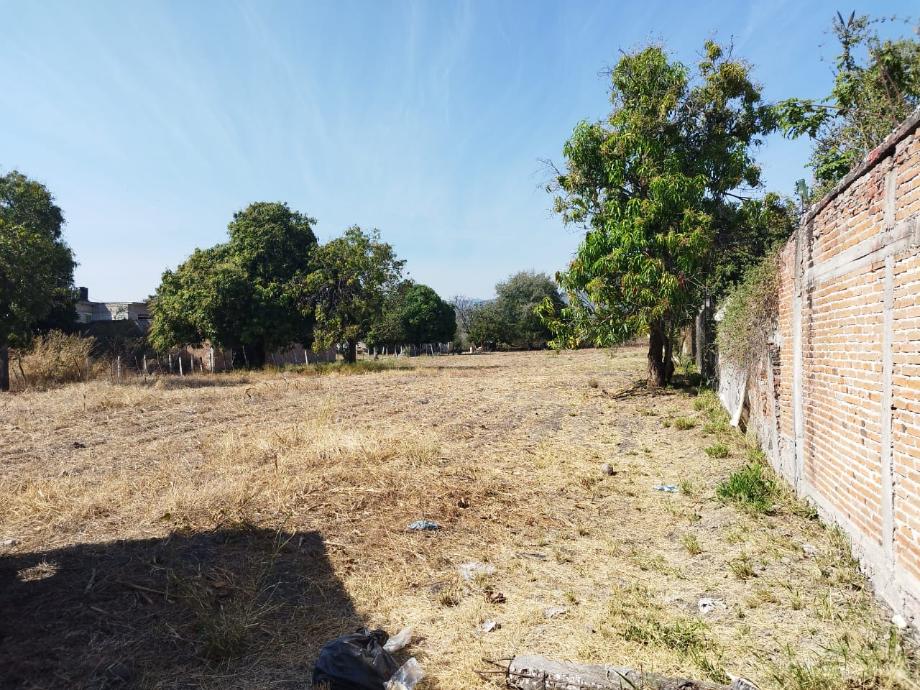 Imagen de terreno en venta en emiliano zapata, miacatlán, morelos
