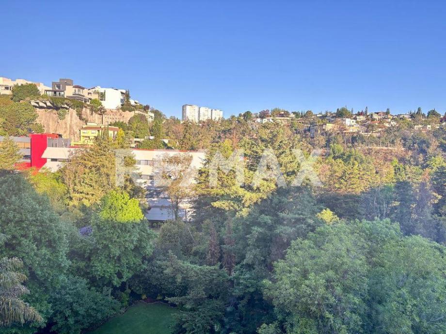 Imagen de departamento en renta en bosques de las lomas, cuajimalpa de morelos, ciudad de méxico