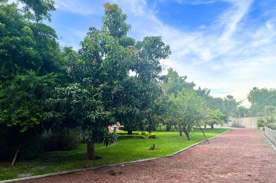 Imagen de terreno en venta en tetecalita, emiliano zapata, morelos