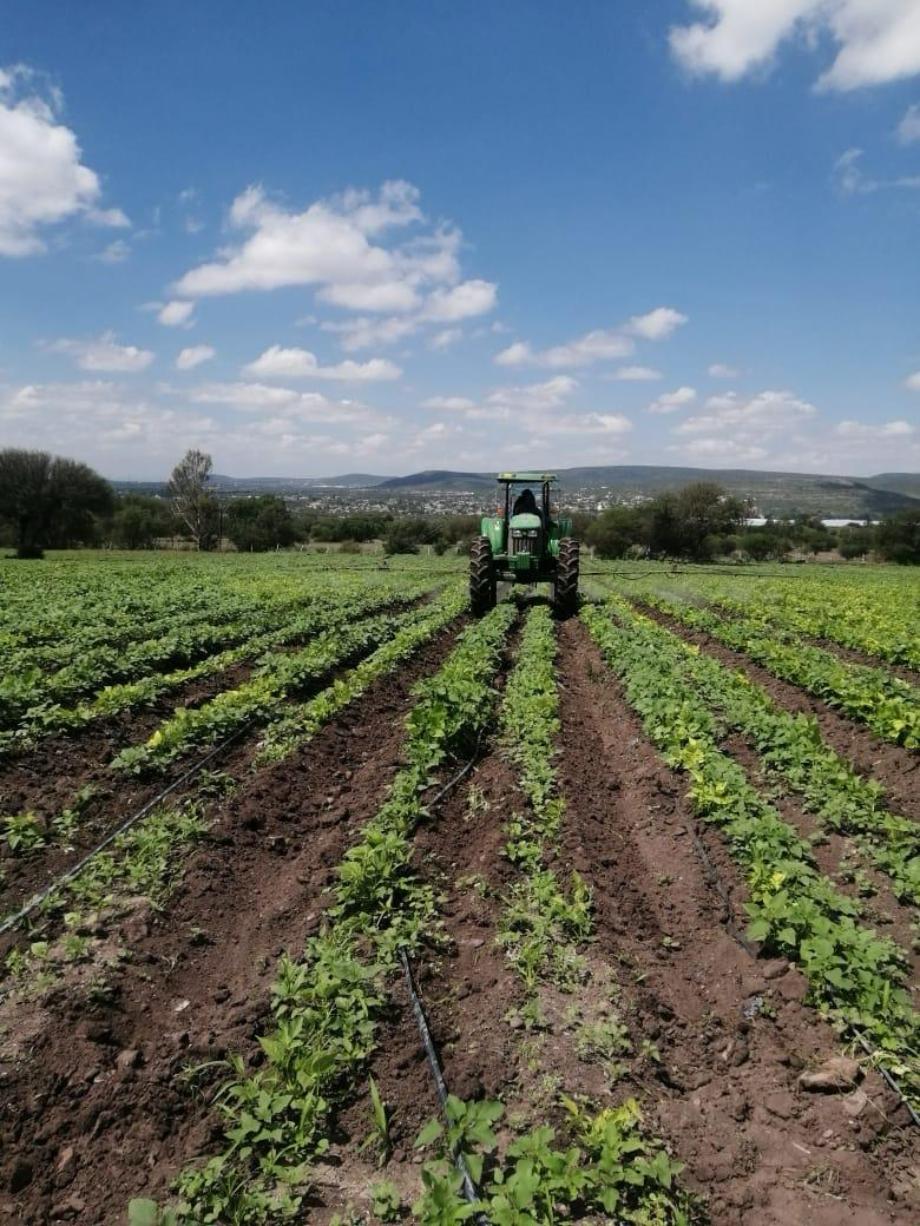 Imagen de terreno en venta en ajuchitlán, colón, querétaro
