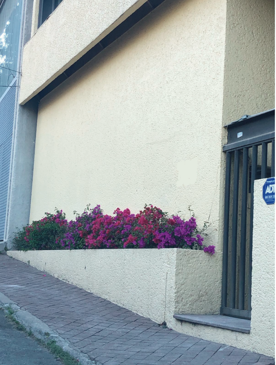 Imagen de casa en renta en lomas de reforma, miguel hidalgo, ciudad de méxico