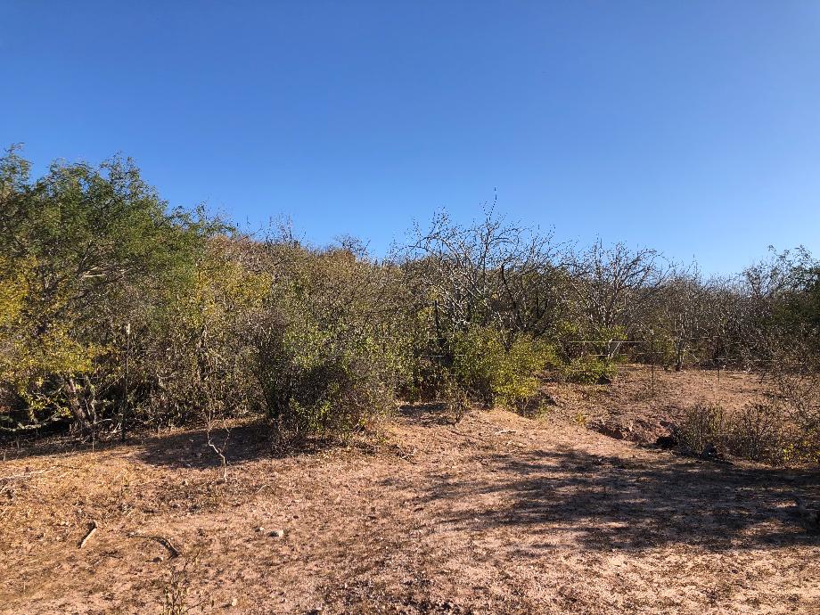 Imagen de terreno en renta en la rivera, los cabos, baja california sur