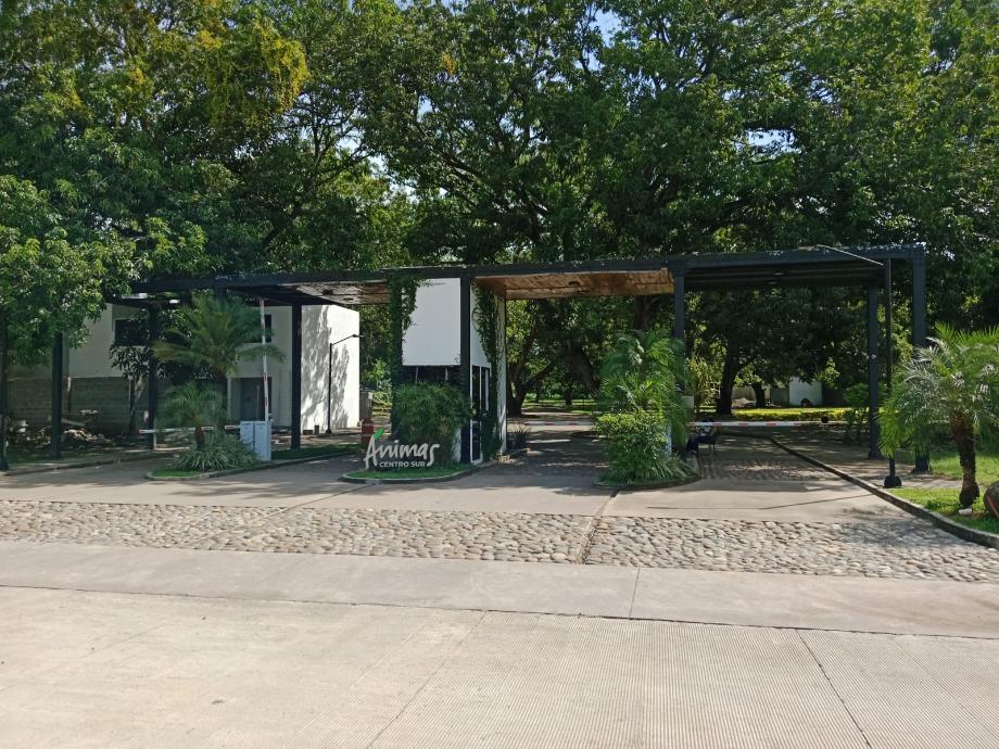 Imagen de terreno en venta en feliciano renauld (san francisco), tapachula, chiapas