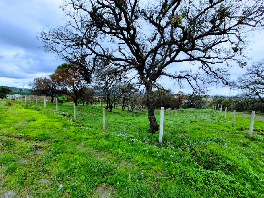 Imagen de terreno en renta en lomas de chapultepec, puebla, puebla