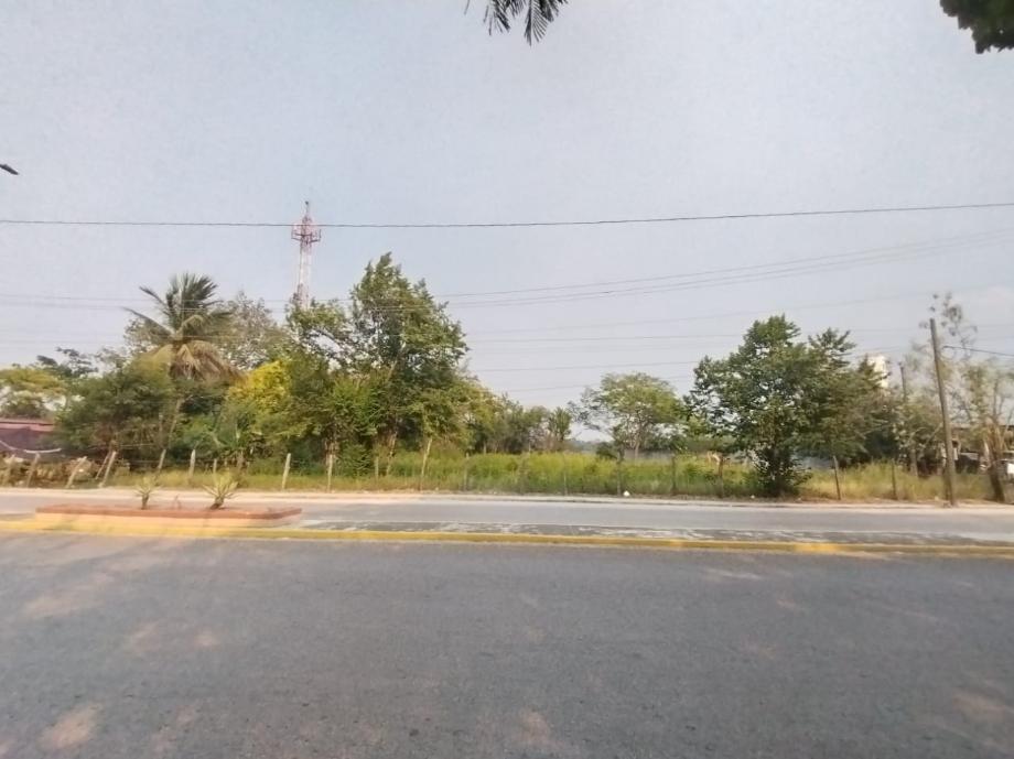 Imagen de terreno en renta en nicolás bravo, macuspana, tabasco