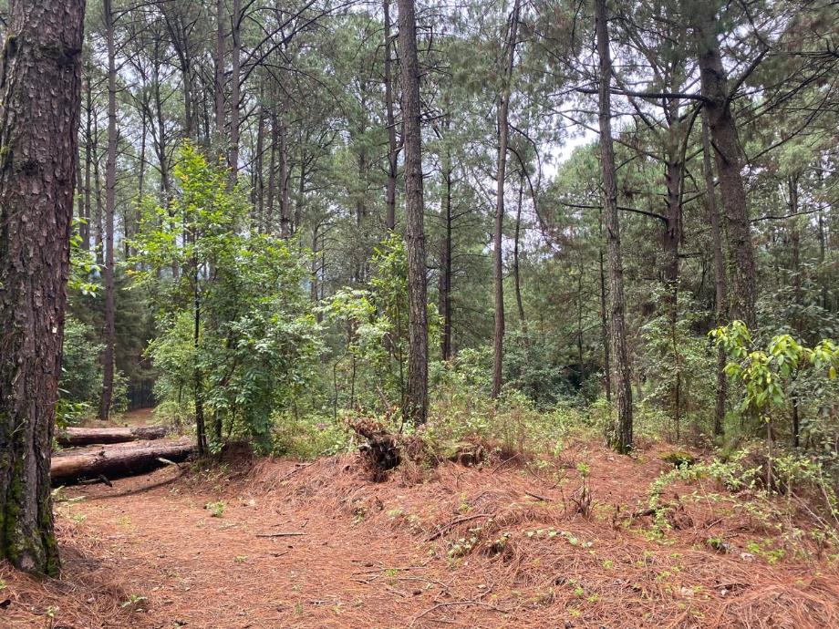 Imagen de terreno en venta en valle de bravo, valle de bravo, estado de méxico