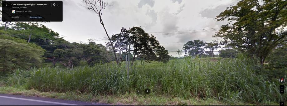 Imagen de terreno en venta en la mielera, palenque, chiapas