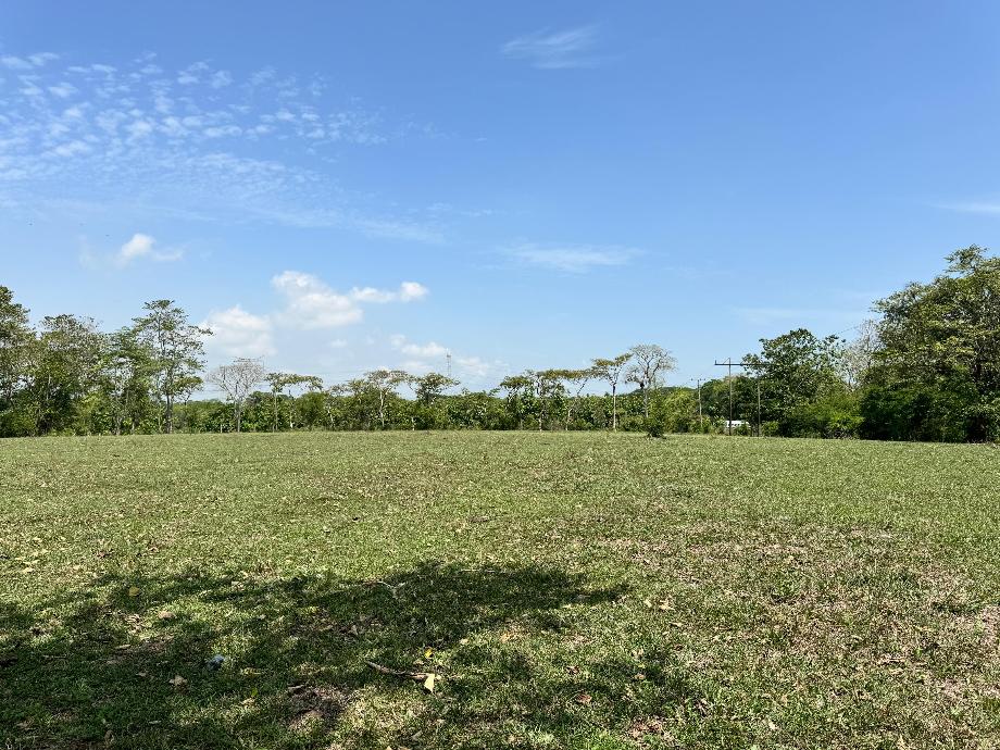 Imagen de terreno en venta en alvarado (colima), centro, tabasco