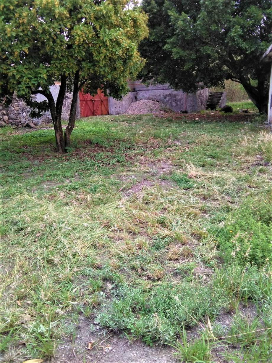 Imagen de terreno en venta en alpuyeca, xochitepec, morelos