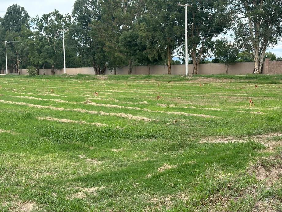 Imagen de terreno en venta en gabino santillán, durango, durango