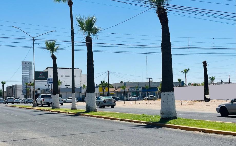 Imagen de terreno en renta en comercial, san luis río colorado, sonora