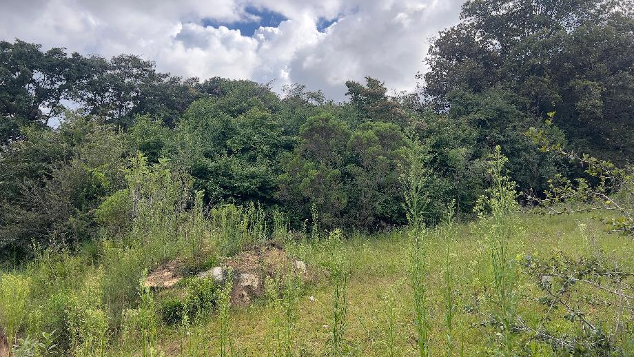Imagen de terreno en venta en vista hermosa, san cristóbal de las casas, chiapas