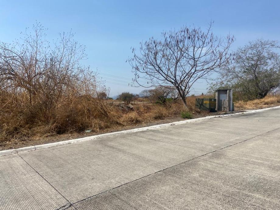 Imagen de terreno en venta en club de golf santa fe, xochitepec, morelos