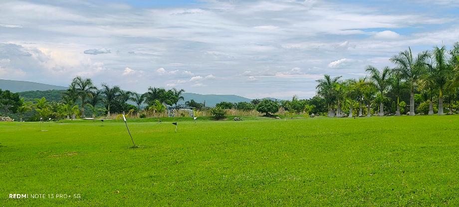 Imagen de terreno en venta en alpuyeca, xochitepec, morelos