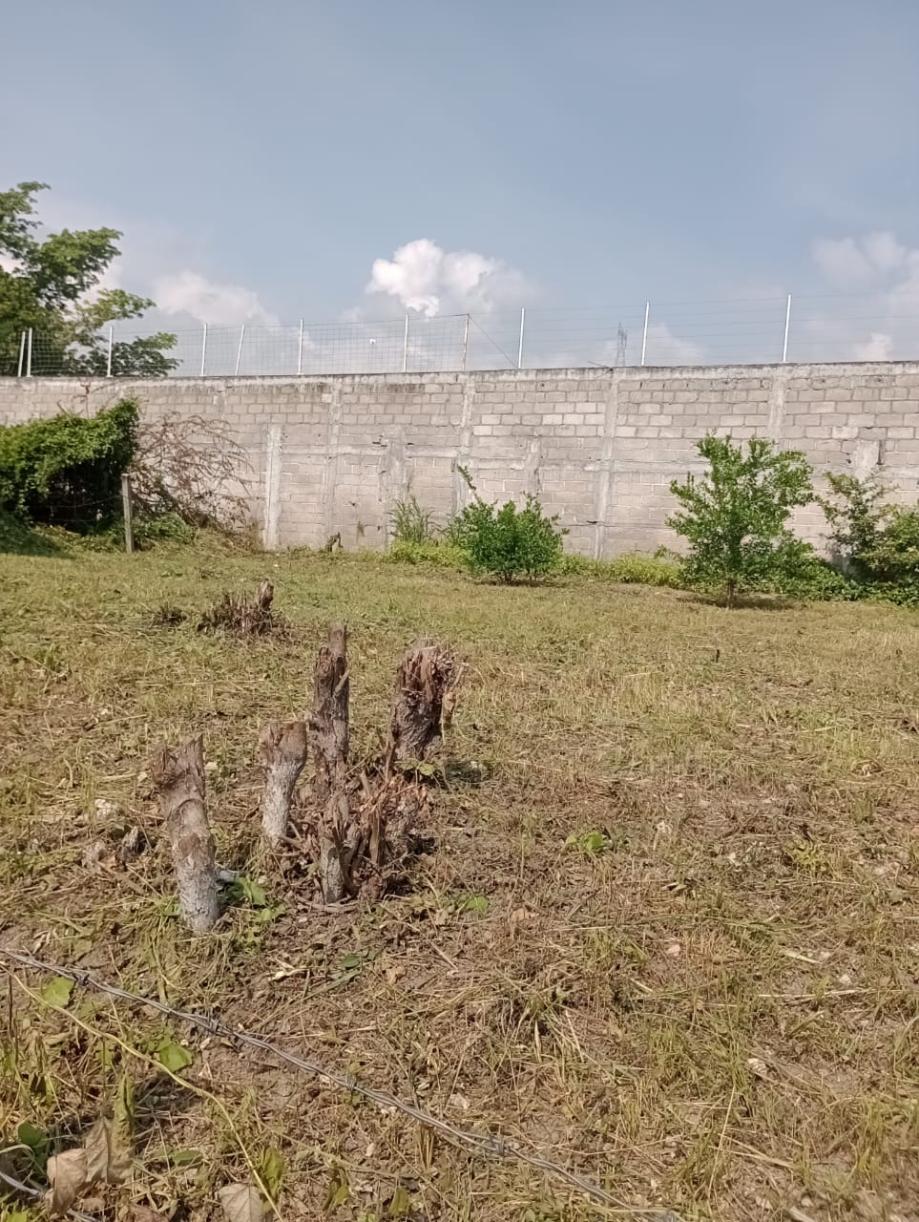 Imagen de terreno en venta en las flechas, chiapa de corzo, chiapas