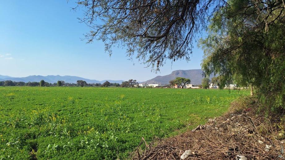 Imagen de terreno en venta en mixquiahuala, mixquiahuala de juárez, hidalgo