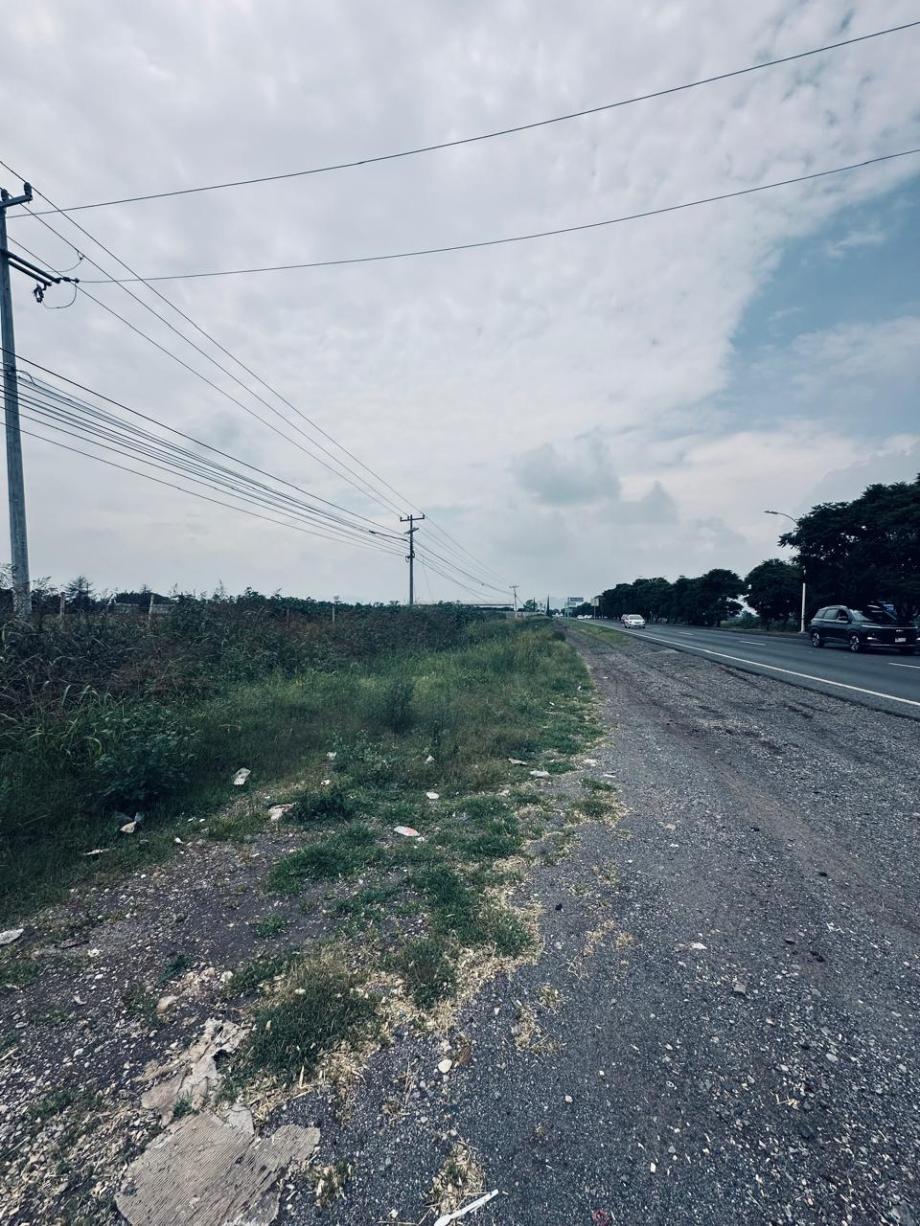 Imagen de terreno en renta en el paraíso, el marqués, querétaro