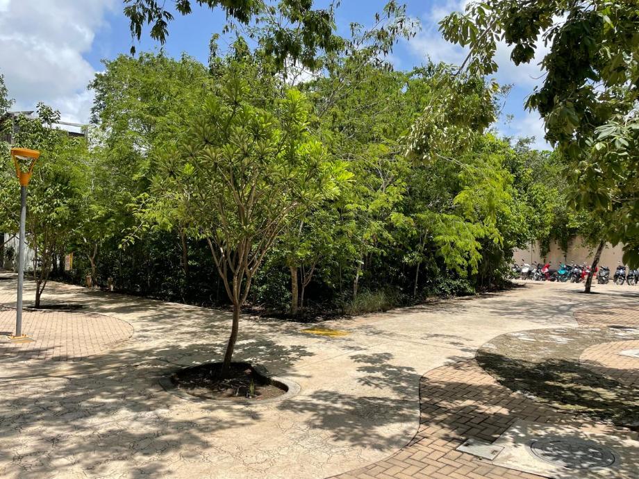 Imagen de terreno en venta en tulum centro, tulum, quintana roo
