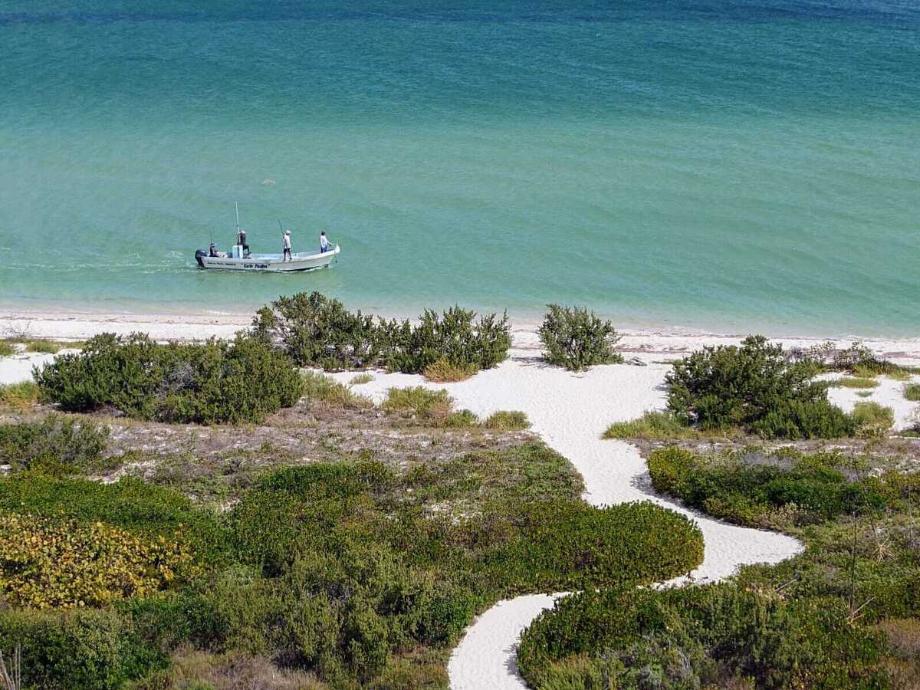 Imagen de departamento en renta en telchac puerto, telchac puerto, yucatán