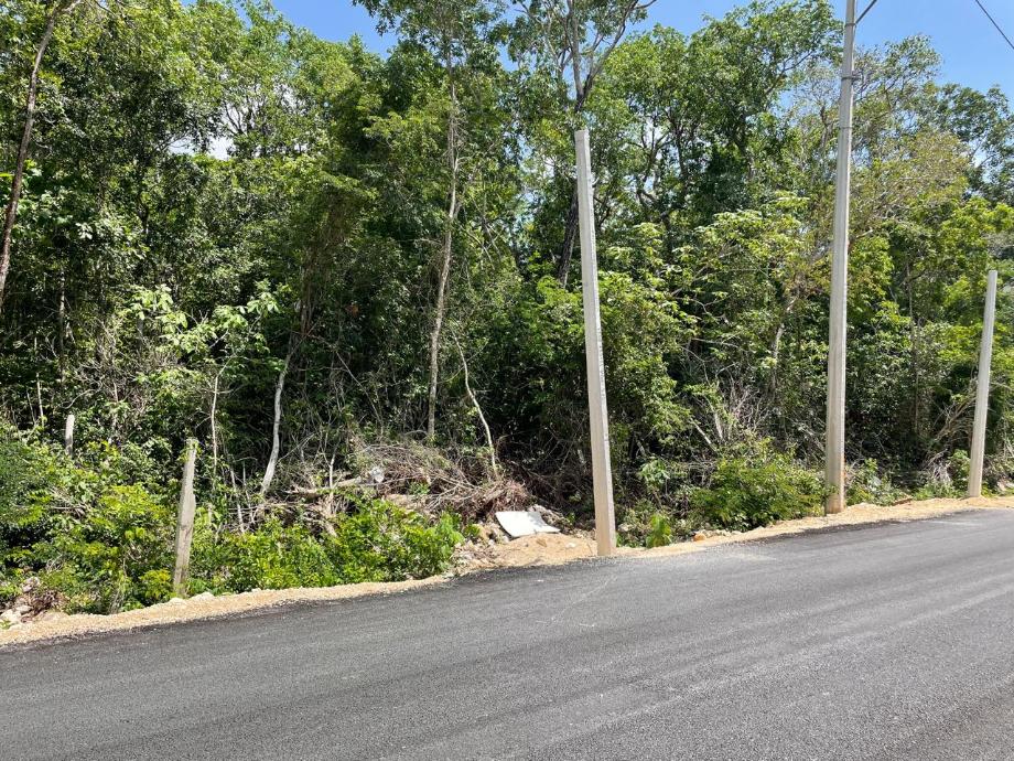 Imagen de terreno en venta en tumben kaa, tulum, quintana roo