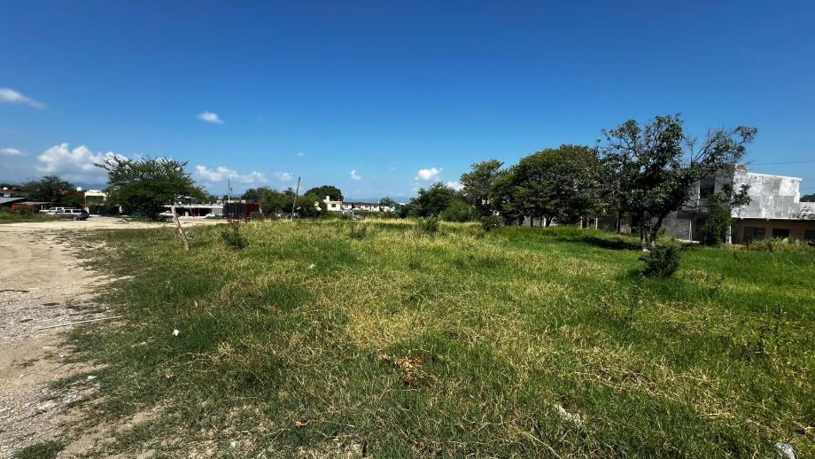 Imagen de terreno en renta en altavista, ciudad valles, san luis potosí