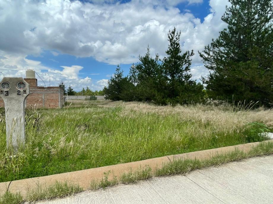 Imagen de terreno en venta en la ferreria (cuatro de octubre), durango, durango