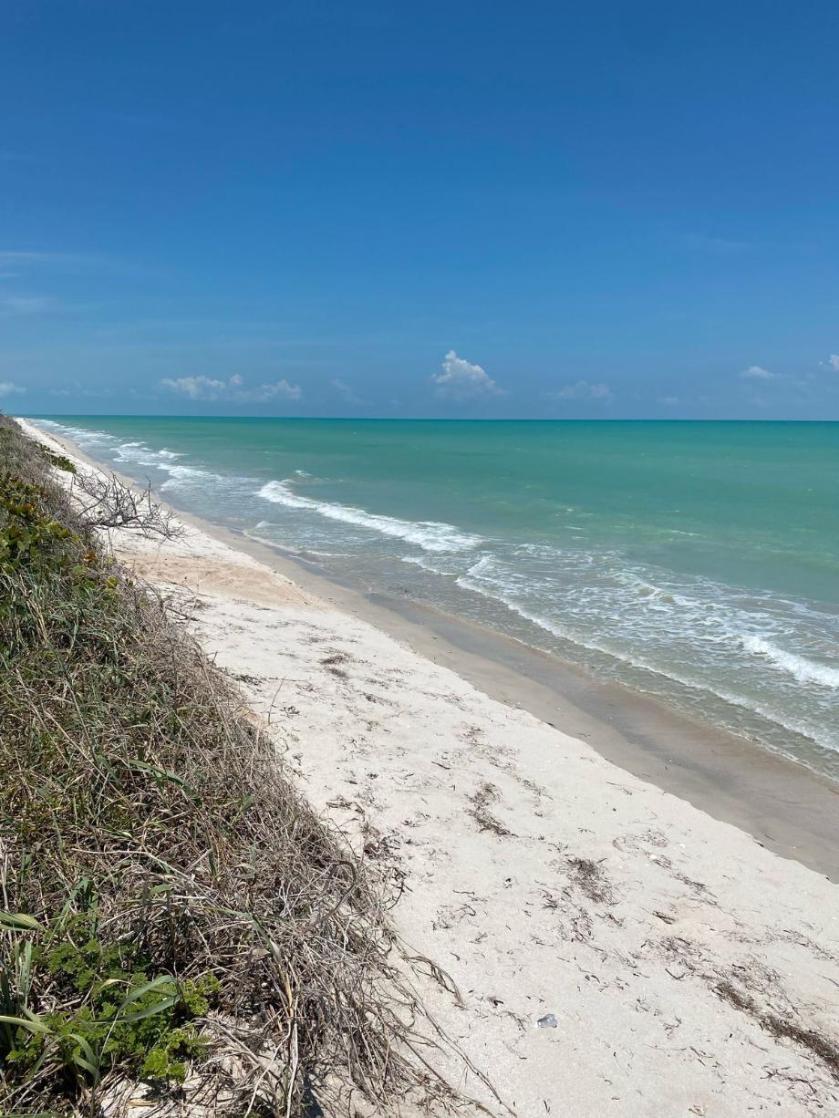 Imagen de terreno en venta en ciudad del carmen (ciudad del carmen), carmen, campeche