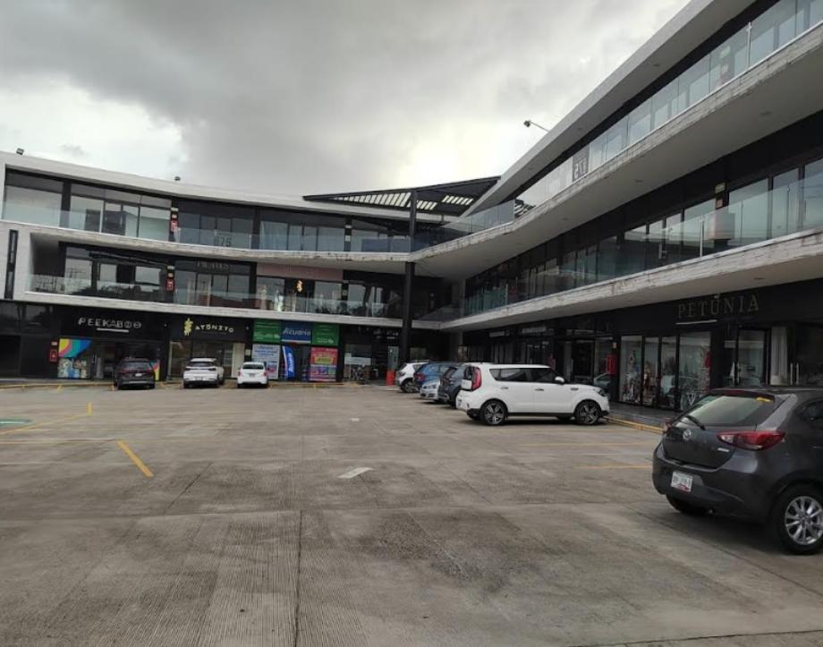 Imagen de local en renta en san bernardino tlaxcalancingo, san andrés cholula, puebla